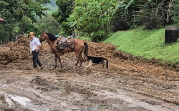 Reanudan de clases en distritos afectados por condiciones climáticas en Herrera 