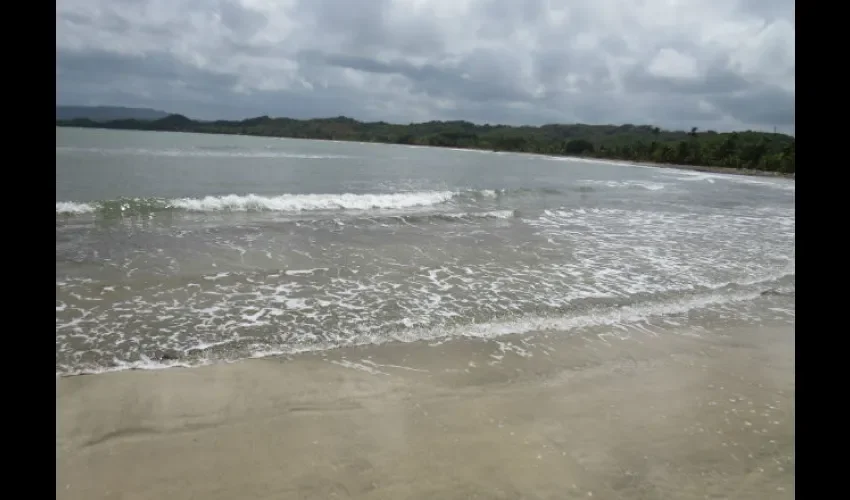 Playa del Caribe. Foto: Diómedes Sánchez 