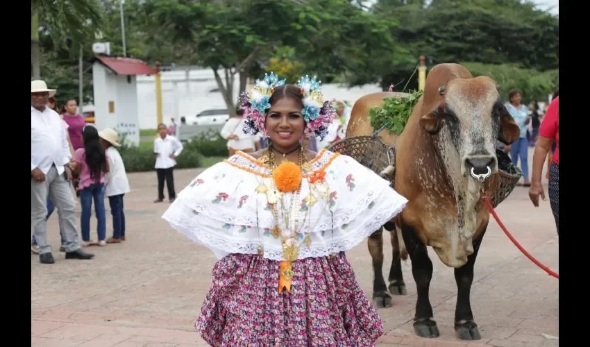 SRM Nicole Fernandez, reina de las bodas de oro de este festival. Foto: Cortesía