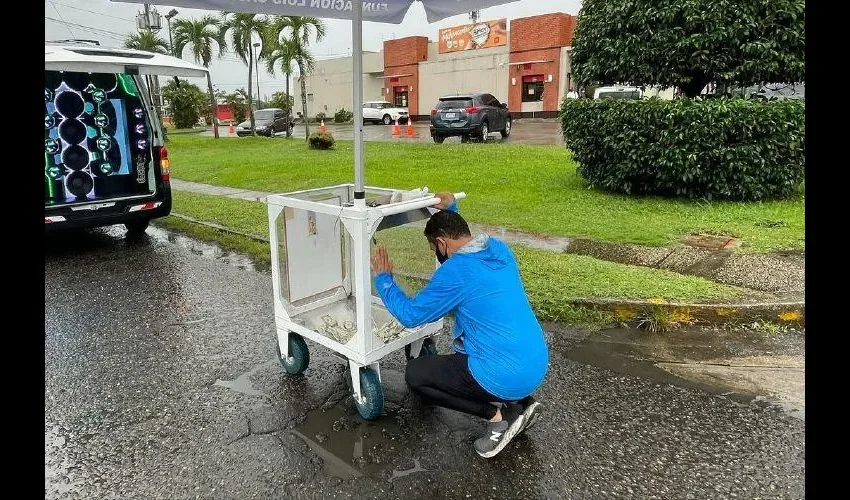 Luis Casis sacó su alcancía gigante