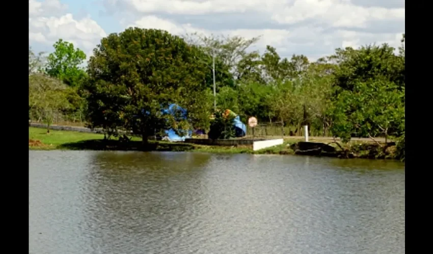 Se espera que se de la venta de  artesanías, producción agrícola y ganadería local, además de realizar otras actividades recreativas, como los tradicionales paseos en el lago.  Foto: Thays Domínguez