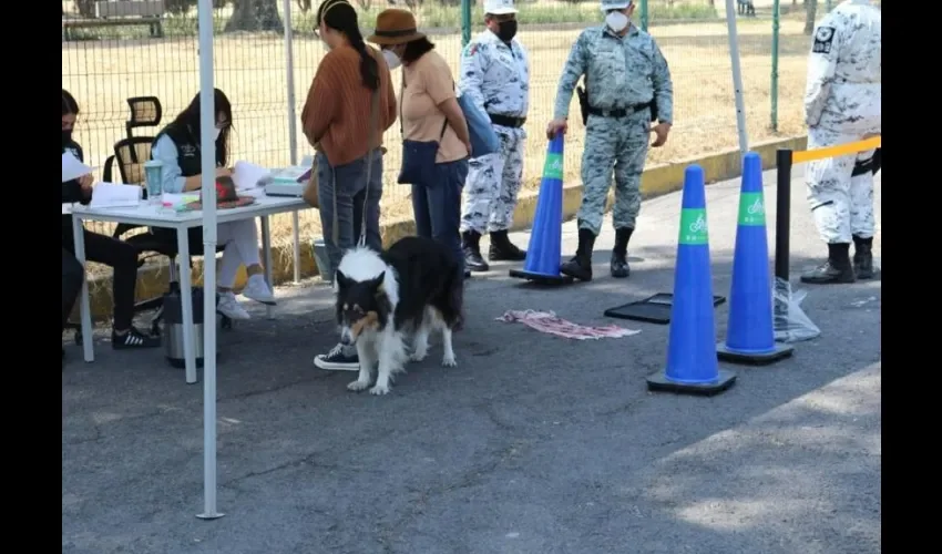 Vista de participantes en ferias de esterilización.