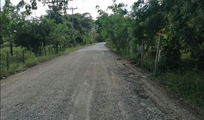 Vista de las calles en mal estado. 