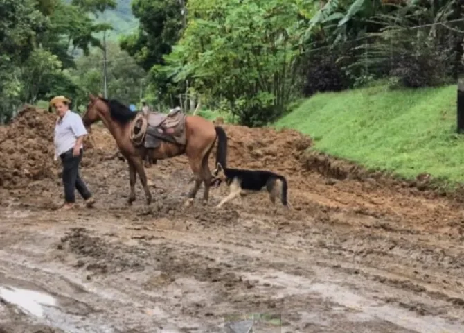   Reanudan de clases en distritos afectados por condiciones climáticas en Herrera  